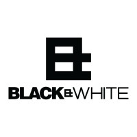 Black & White Production logo - Similar company to Human Capital Group