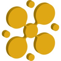 Nissi Technology Enterprises Inc logo - Similar company to Cerebrocare