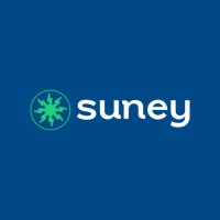 Suney logo - Similar company to Bsafe Consulting