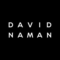 David Naman logo - Similar company to Er Romano