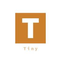 Tiny Software Company logo - Similar company to Devapp