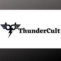 ThunderCult logo - Similar company to Physio 1+