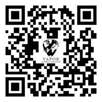 Vapor Global Aviation, LLC logo - Similar company to Jl&J Consulting