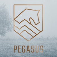 Pegasus Vastgoed logo - Similar company to Fella Vastgoed