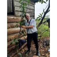 olivetech ltd logo - Similar company to Better Leaf