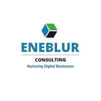 Eneblur Consulting
