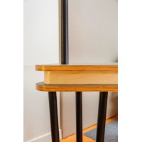 Salomia Design logo - Similar company to Studio Dorea