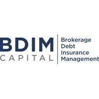 BDIM Capital logo - Similar company to Portico Partners