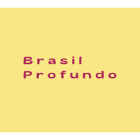 Brasil Profundo logo - Similar company to Noix Internet