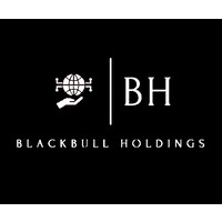 BLACKBULL HOLDINGS logo - Similar company to S&D Law