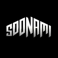 Soonami Agency logo - Similar company to Soonami
