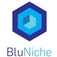 BluNiche logo - Similar company to Gold Orbit