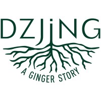 DZJING - a ginger story logo - Similar company to Heyu Drinks