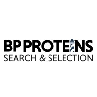 BP Proteins logo - Similar company to Elevate Recruitment & Training Consultants Ltd.