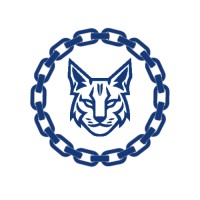 Liinx logo - Similar company to Orbis Recruitment