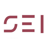 SEi Consulting logo - Similar company to Divu
