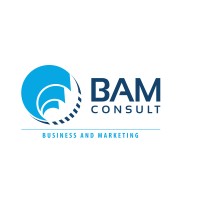 BAM consult d.o.o. Banja Luka logo - Similar company to Digital Boost