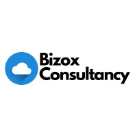 Bizox Consultancy logo - Similar company to Scholity Technologies