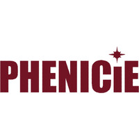 Phenicie Technology Solutions Co.,Ltd logo - Similar company to V-Motech