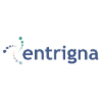 Entrigna Inc logo - Similar company to Innovation Development Insights