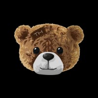 TOPHUNTER logo - Similar company to Dataprovision