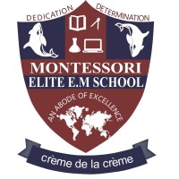 Montessori Elite E.M. School logo - Similar company to Future Educity