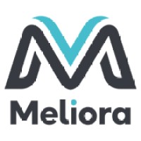 The Meliora Group logo - Similar company to Forms Plus Ltd