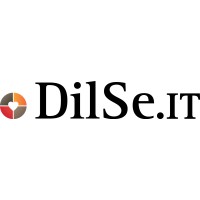 DilSe.IT logo - Similar company to Dilsayapp