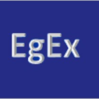 Egypt Excellence Center logo - Similar company to Dt Informatics