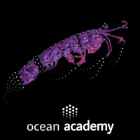 Ocean Academy logo - Similar company to Deep Guard