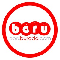Boruburada logo - Similar company to Bspro Consulting