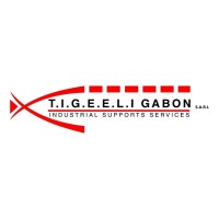 TIGEELI GABON logo - Similar company to Etsl Gabon