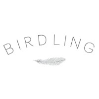 Birdling Bags logo - Similar company to Bdp Holdings