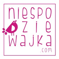Niespodziewajka.com - indywidualne prezenty od serca logo - Similar company to Have A Nice Box