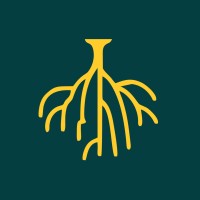 Root in Stone logo - Similar company to Iran Slab