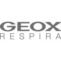 GEOX Asia Pacific Limited logo - Similar company to Storellet