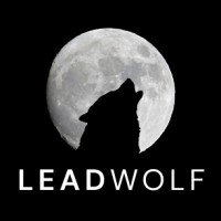 LeadWolf logo - Similar company to Lead Wolf Digital