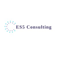 ES5 Consulting logo - Similar company to W. Levitt Negócios Imobiliários