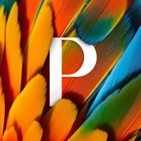 Panorama de las Américas logo - Similar company to Pacific Developers
