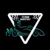 teamvidyut logo - Similar company to Sae-Hit