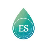 Express Solutions logo - Similar company to Express Global Solutions