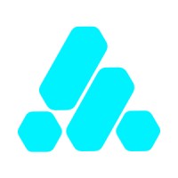 Futuregov Fellowship