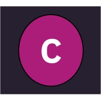 Companion logo - Similar company to Team Aritra