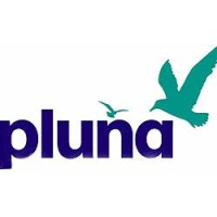 PLUNA Uruguay Airlines logo - Similar company to Colemat
