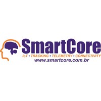 SmartCore Business Intelligence logo - Similar company to Netlogus