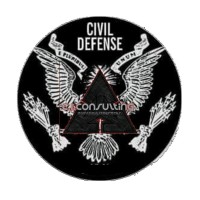 C.I.Consulting.inc logo - Similar company to Digital Valour Ltd