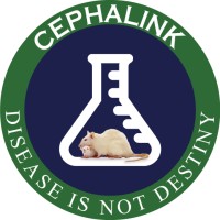 Cephalink Institute logo