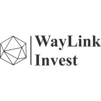 WayLink Invest logo - Similar company to Raymit Recruitment