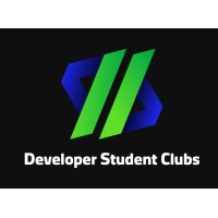 DSC Egypt logo - Similar company to Iak
