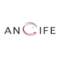 Angife S.R.L.